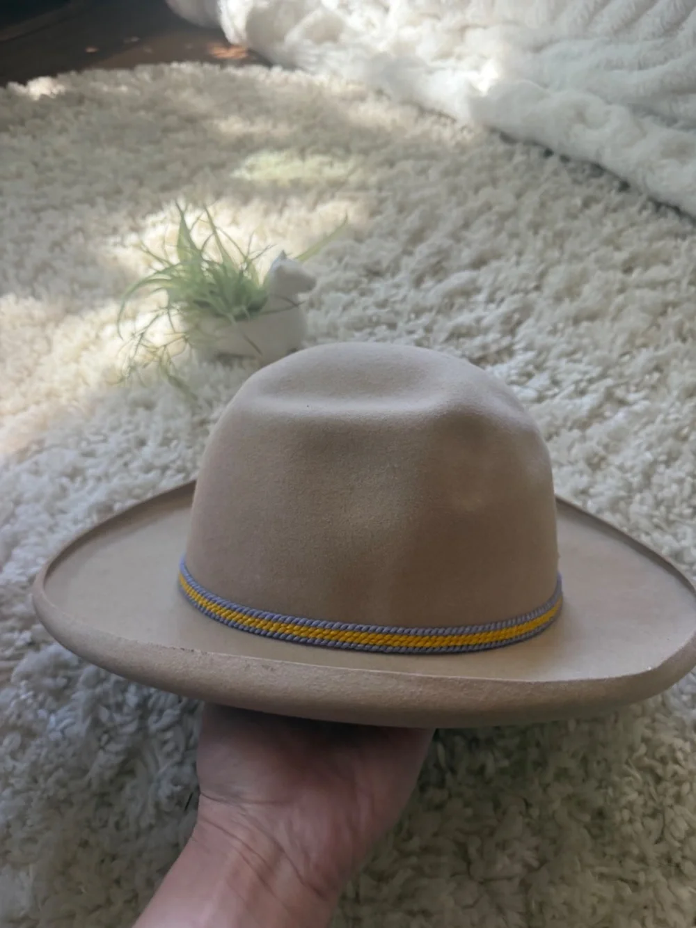 Soft Neutral Buffalo days Regina Tan Felt Ranch Hat with Decorative Cord 7 3/4 t